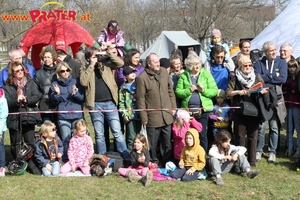 Draisinenrennen 2014