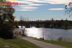 Herbstzeit an der Donau