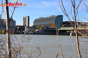 Herbstzeit an der Donau