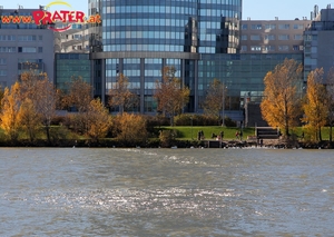 Herbstzeit an der Donau