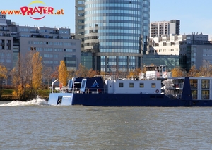 Herbstzeit an der Donau
