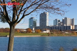 Herbstzeit an der Donau