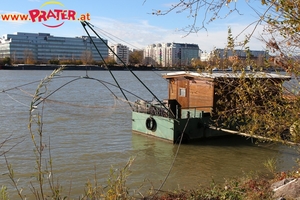 Herbstzeit an der Donau