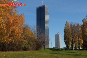 Herbstzeit an der Donau