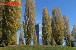 Herbstzeit an der Donau
