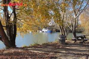Herbstzeit an der Donau