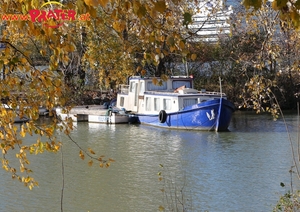 Herbstzeit an der Donau
