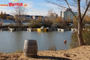 Herbstzeit an der Donau