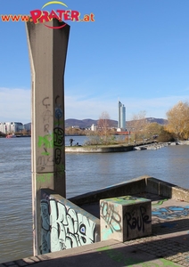 Herbstzeit an der Donau