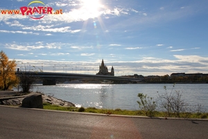 Herbstzeit an der Donau