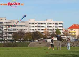 Herbstzeit an der Donau
