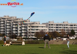Herbstzeit an der Donau