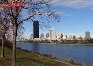 Herbstzeit an der Donau