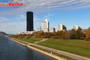 Herbstzeit an der Donau