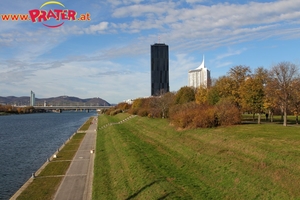 Herbstzeit an der Donau