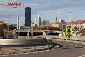 Herbstzeit an der Donau
