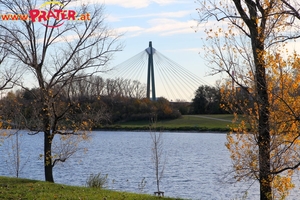 Herbstzeit an der Donau