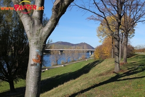 Herbstzeit an der Donau