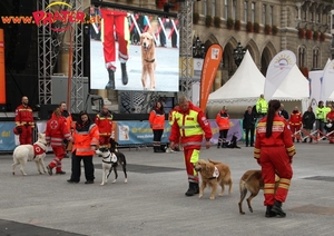 Fest der helfer 2014