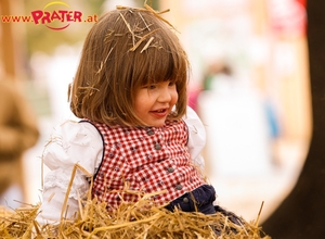 Wiener Wiesn Fest - Eine Bilanz