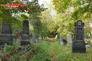 Zentralfriedhof