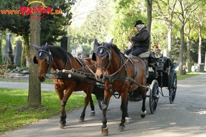 Zentralfriedhof