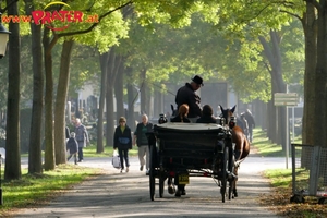 Zentralfriedhof