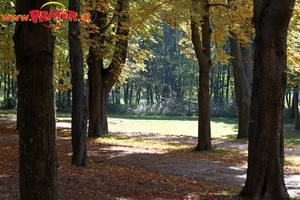 Herbst im Prater