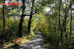 Herbst im Prater