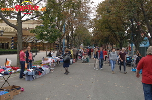 Kinder-Flohmarkt Sep. 2014