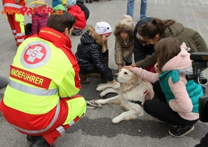 Fest der helfer 2014