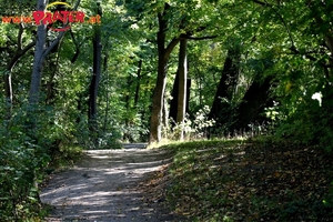 Herbst im Prater