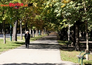 Herbst im Prater