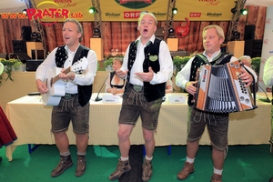 Wiener Wiesn