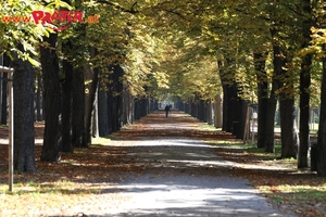 Herbst im Prater