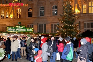 Weihnachts-Lichter