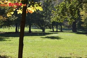 Herbst im Prater