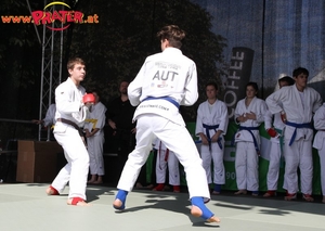 Tag des Sports 2014