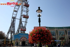 Herbst im Prater