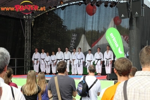 Tag des Sports 2014