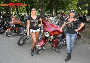 Harley Days