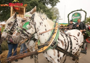 Oktoberfest im Prater