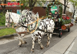 Blumencorso 2016