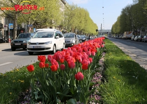 Weg in den Prater