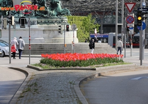 Weg in den Prater