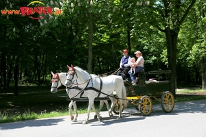 Lusthaus  Grüner Prater