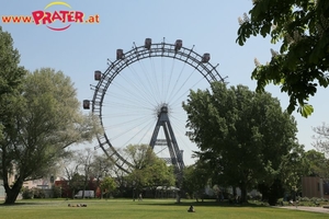 Lusthaus  Grüner Prater