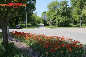 Lusthaus  Grüner Prater