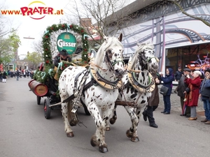 Blumencorso 2016