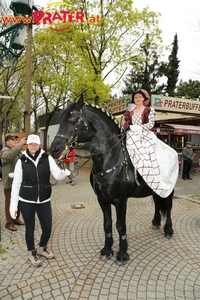 Blumencorso 2016